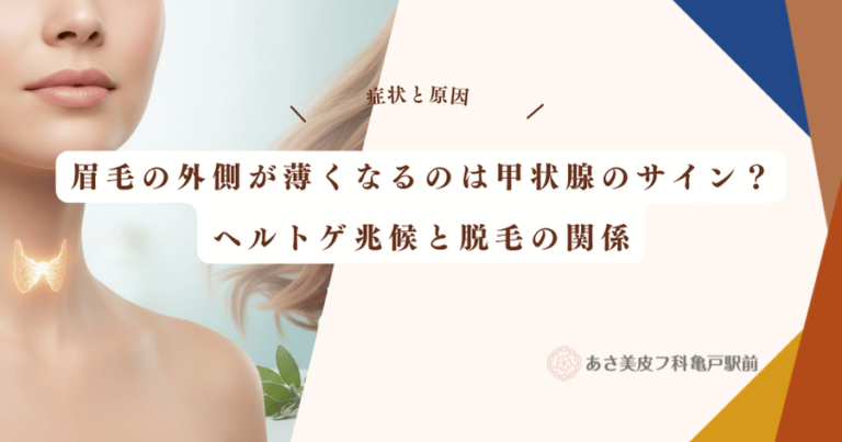 眉毛の外側が薄くなるのは甲状腺のサイン？ヘルトゲ兆候と脱毛の関係