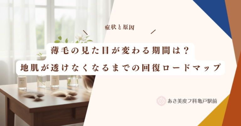 薄毛の見た目が変わる期間は？地肌が透けなくなるまでの回復ロードマップ