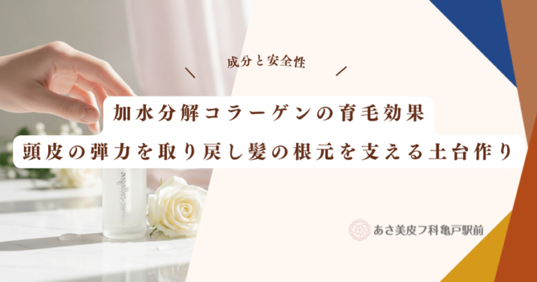 加水分解コラーゲンの育毛効果｜頭皮の弾力を取り戻し髪の根元を支える土台作り