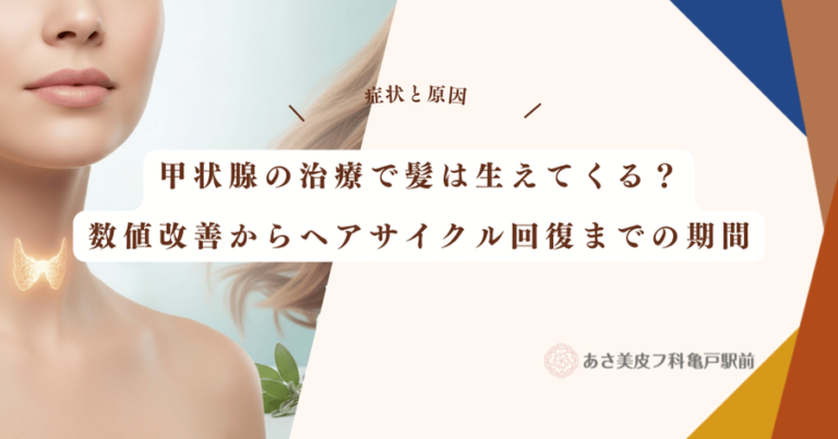 甲状腺の治療で髪は生えてくる？数値改善からヘアサイクル回復までの期間