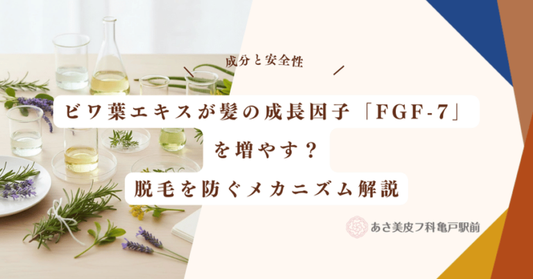 ビワ葉エキスが髪の成長因子「FGF-7」を増やす？脱毛を防ぐメカニズム解説