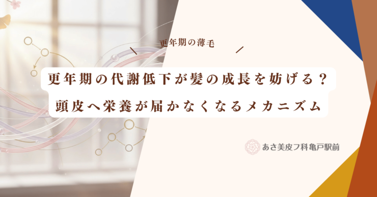 更年期の代謝低下が髪の成長を妨げる？頭皮へ栄養が届かなくなるメカニズム