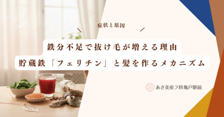 鉄分不足で抜け毛が増える理由｜貯蔵鉄「フェリチン」と髪を作るメカニズム
