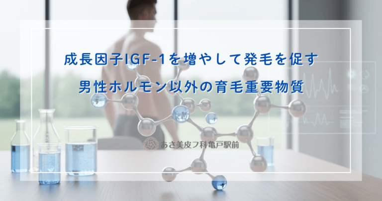 成長因子IGF-1を増やして発毛を促す｜男性ホルモン以外の育毛重要物質