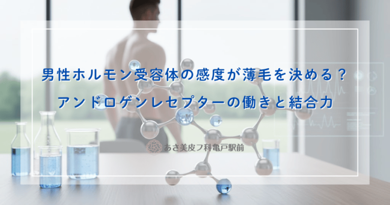 男性ホルモン受容体の感度が薄毛を決める？アンドロゲンレセプターの働きと結合力