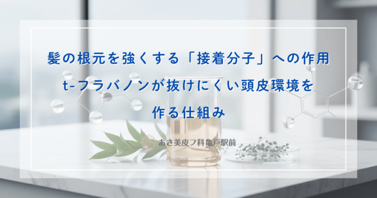髪の根元を強くする「接着分子」への作用｜t-フラバノンが抜けにくい頭皮環境を作る仕組み