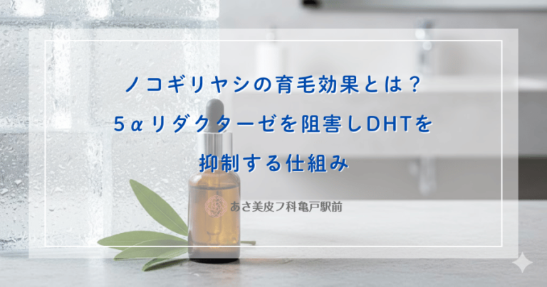 ノコギリヤシの育毛効果とは？5αリダクターゼを阻害しDHTを抑制する仕組み