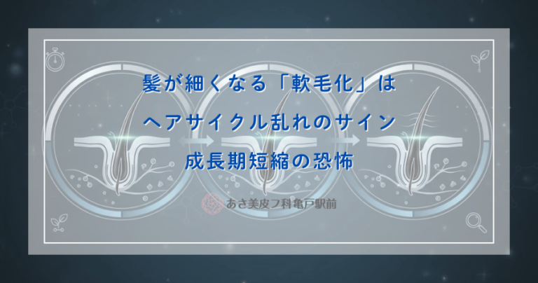 髪が細くなる「軟毛化」はヘアサイクル乱れのサイン｜成長期短縮の恐怖
