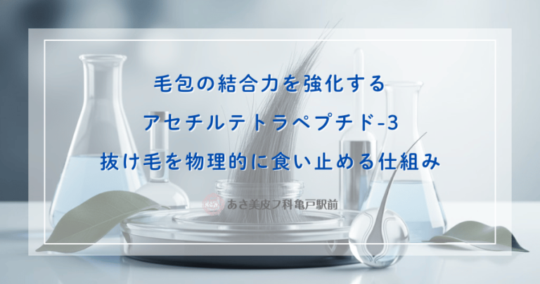 毛包の結合力を強化するアセチルテトラペプチド-3｜抜け毛を物理的に食い止める仕組み