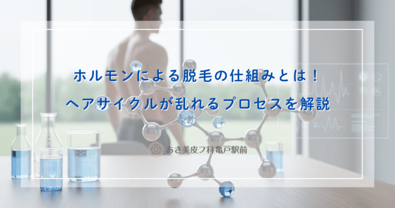 ホルモンによる脱毛の仕組みとは！ヘアサイクルが乱れるプロセスを解説