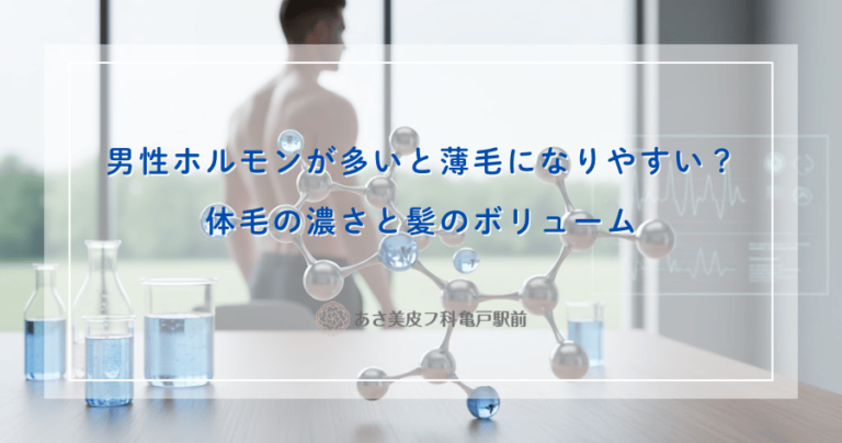 男性ホルモンが多いと薄毛になりやすい？体毛の濃さと髪のボリューム