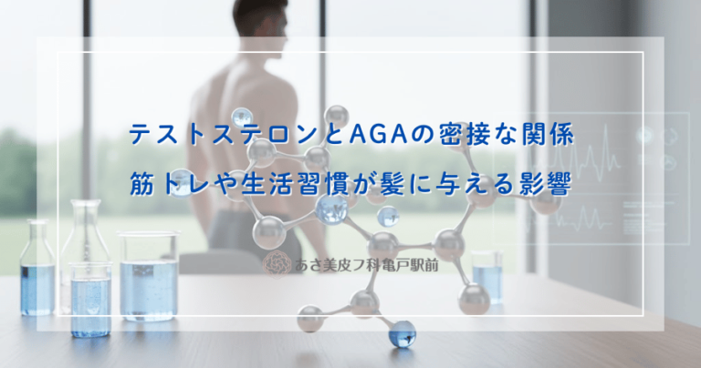 テストステロンとAGAの密接な関係｜筋トレや生活習慣が髪に与える影響